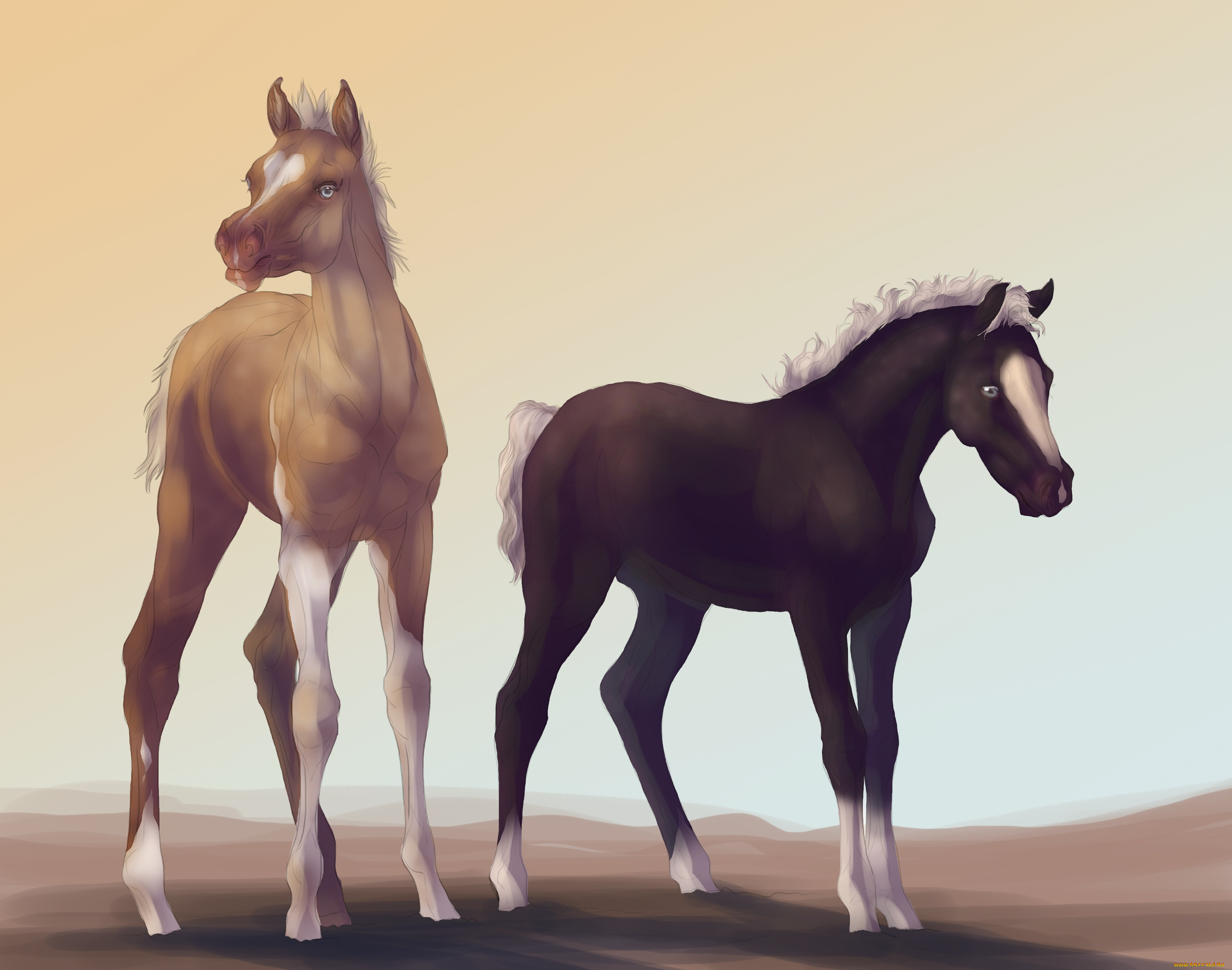 Лошадки лошадки л. Лошадки. Картинки про лошадь 2014. Стилизация животных лошадь. Картинки животные лошади.